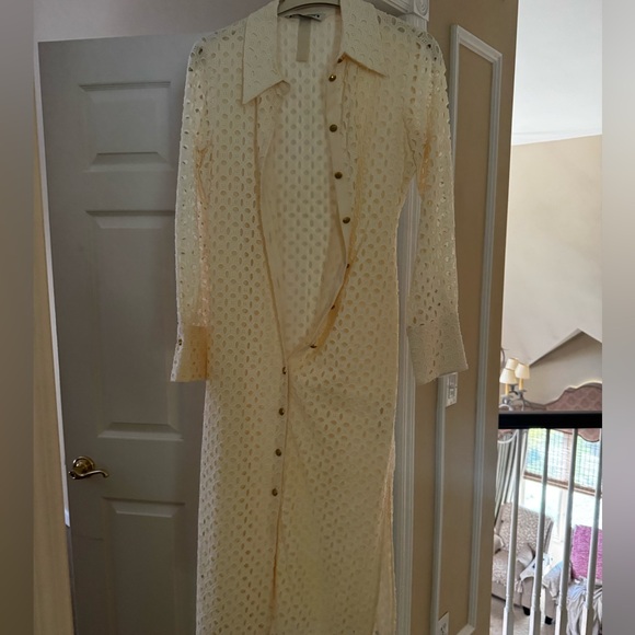 Zara Dresses & Skirts - Zara Eyelet Midi dress